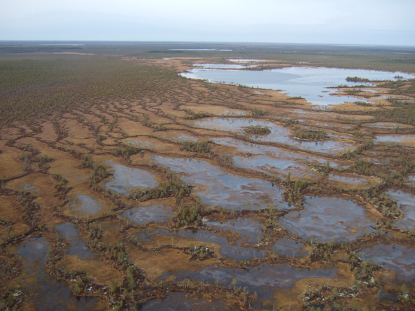 Грядово-озерково-мочажинное болото